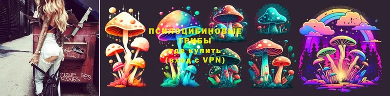 Псилоцибиновые грибы MAGIC MUSHROOMS  Александровск 